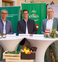 Gurken-Herkunft bleibt oft unklar