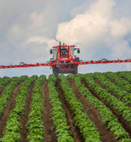 IndustrieGruppe Pflanzenschutz warnt vor Ausfällen durch Schädlingsdruck
