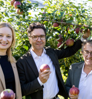 Spar und Frutura beleben alte Apfelsorten wieder
