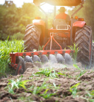 Artenschutz braucht Landwirtschaft und Beweise: Der BeeWild Index zeigt, worauf Österreich Wert legt