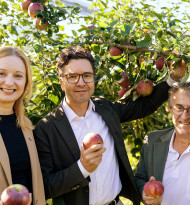 Spar belebt alte Apfelsorten neu